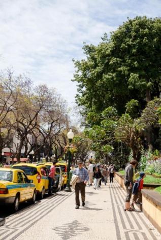 Central Funchal Apartment - Garden - Free Parking & Ac Екстериор снимка