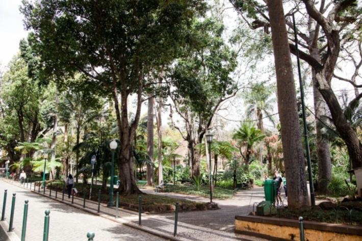 Central Funchal Apartment - Garden - Free Parking & Ac Екстериор снимка