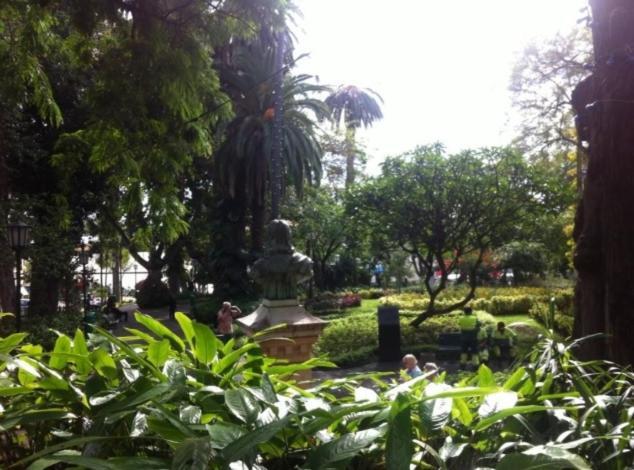 Central Funchal Apartment - Garden - Free Parking & Ac Екстериор снимка